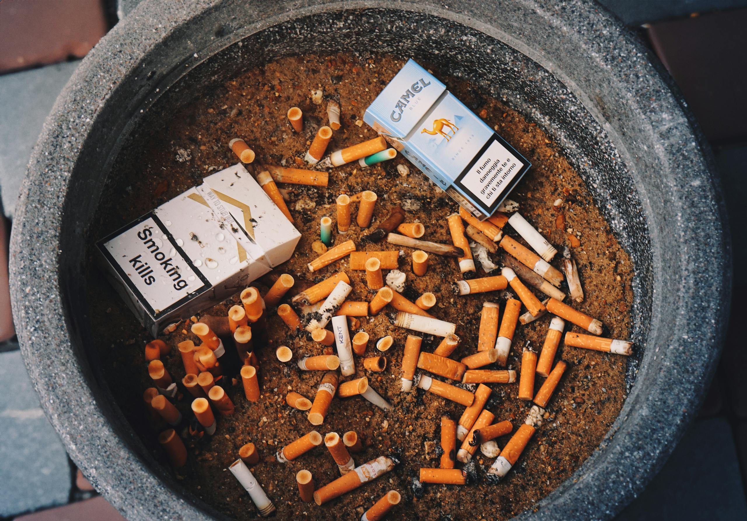 Close-up of cigarette butts and packs in an ashtray highlighting smoking risks.