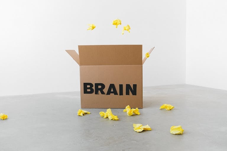 Crumpled yellow paper pieces on floor near carton box with Brain title on white background